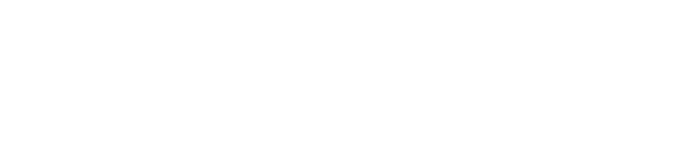 2502 Logo Netfonds_negativ