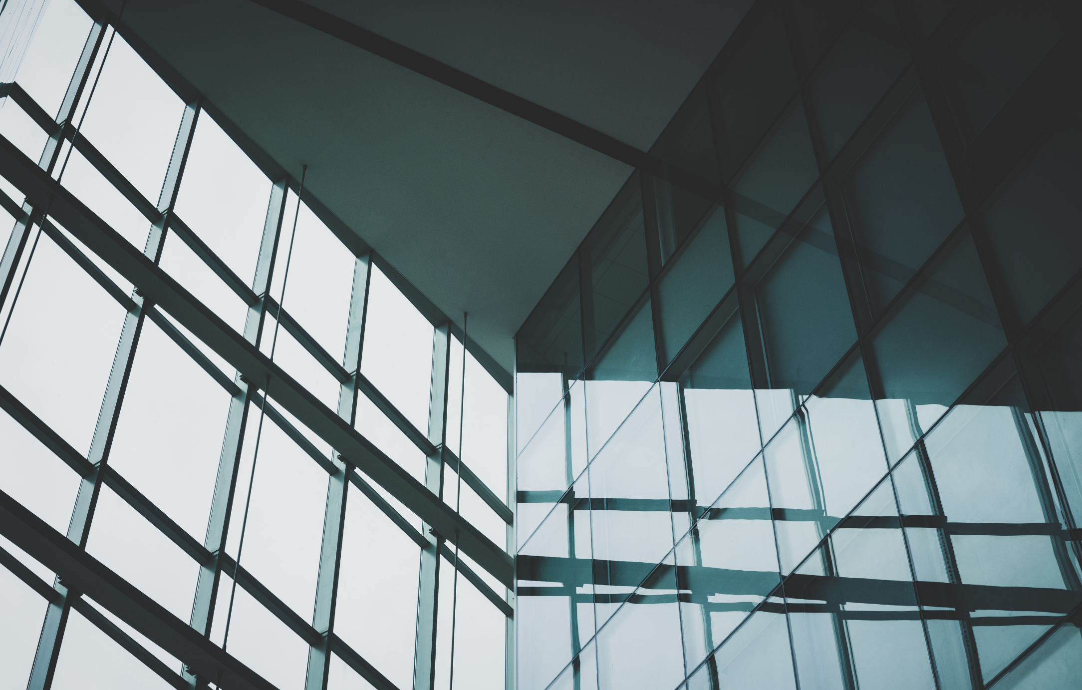 Podcast Bild_2508 (1)